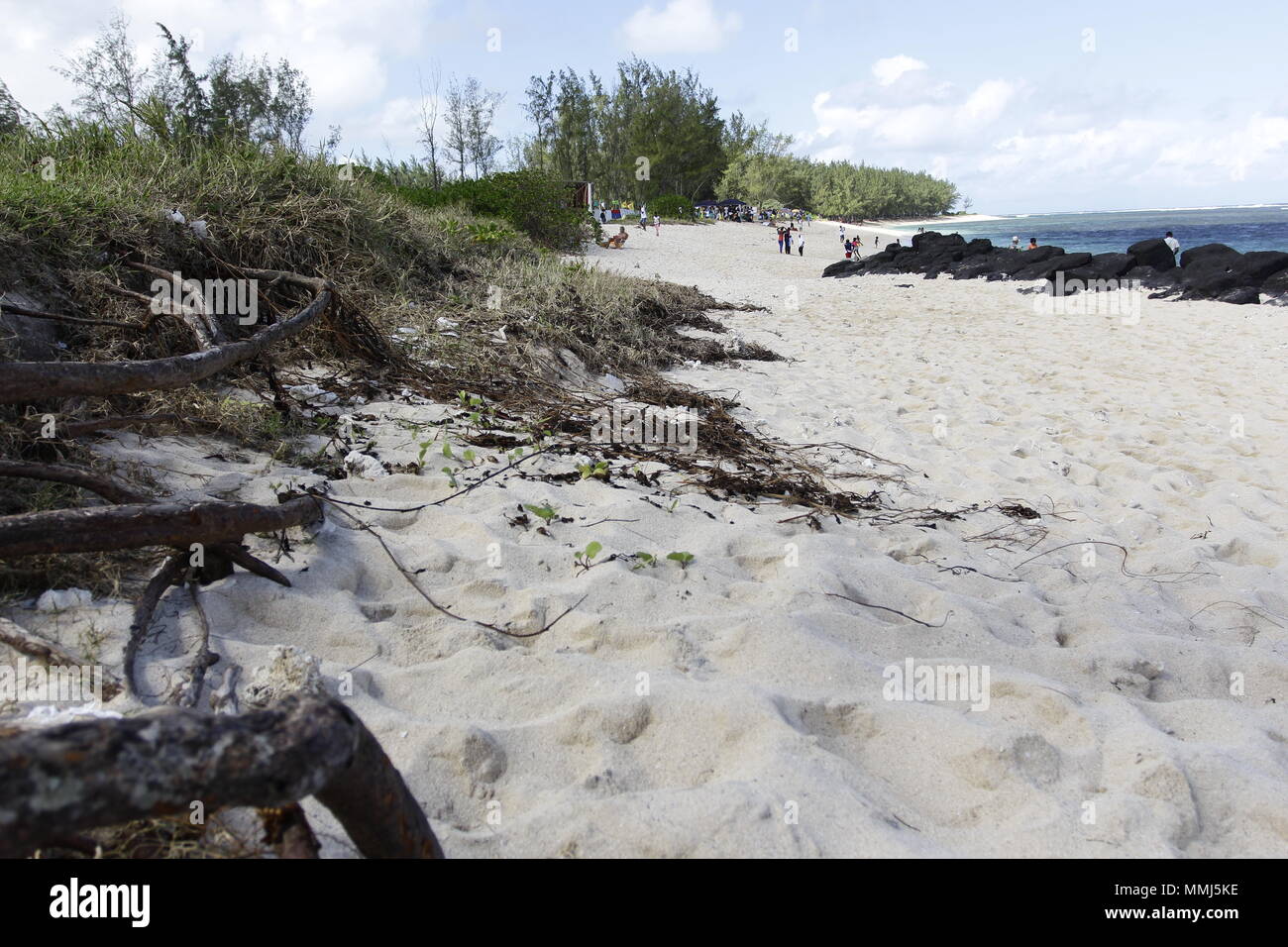 L'île Maurice n'abrite superbes uniquement pas des plages de sable bordées aletas de cocotiers, dotées d'un lagon idyllique où l'on peut nager sans crain Foto de stock