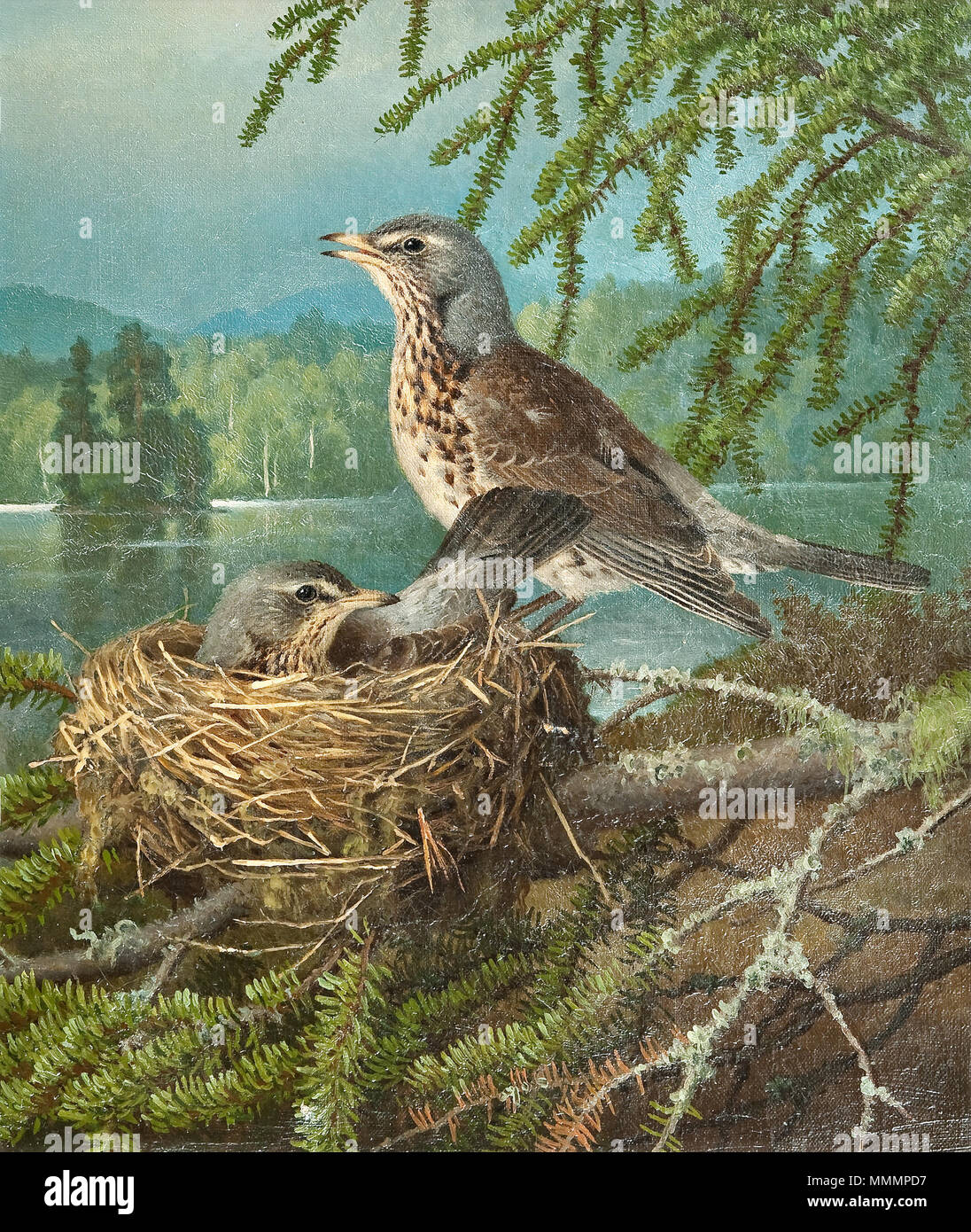 Ferdinand von Wright - Fåglar i boet Foto de stock