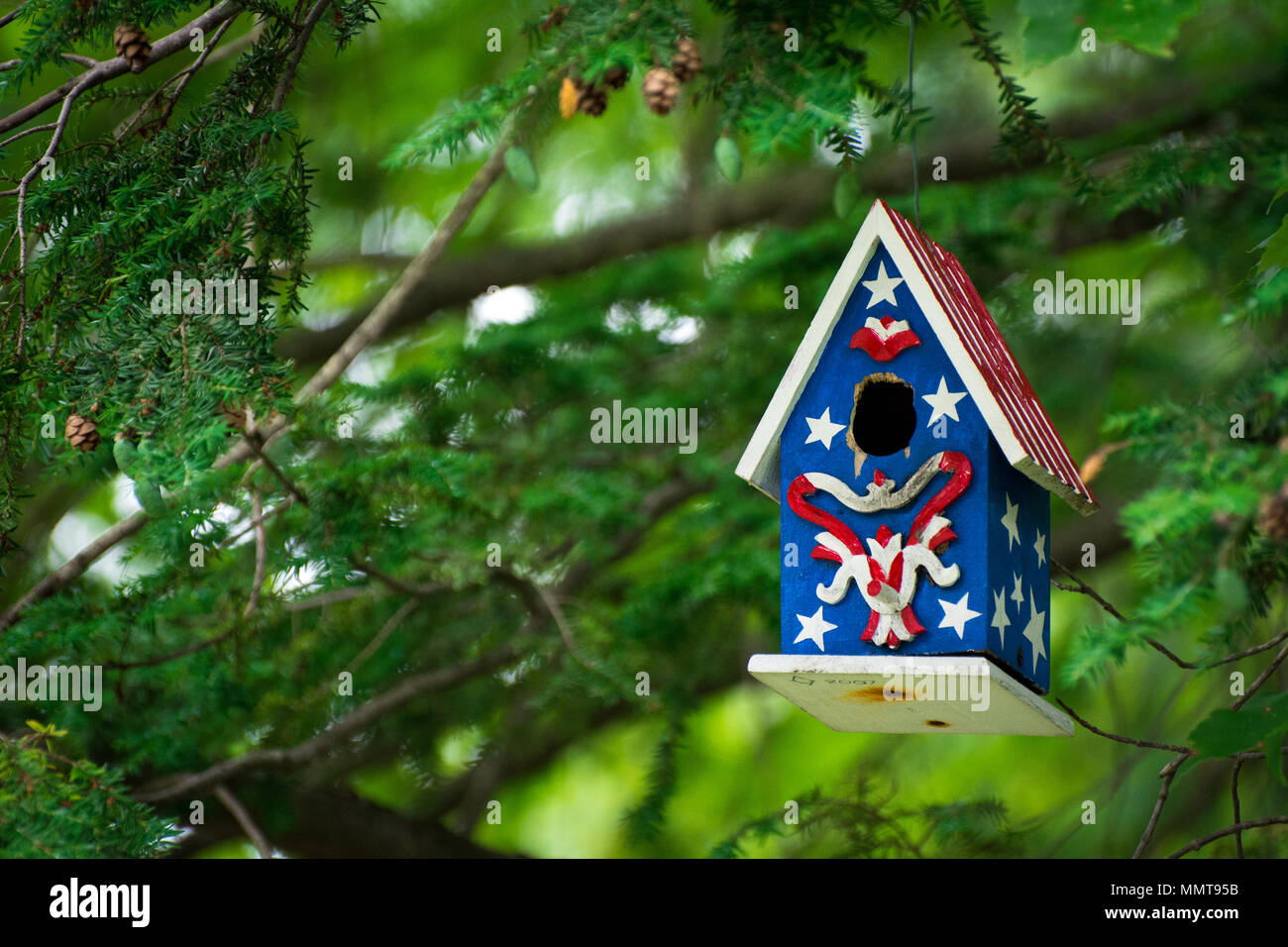 Una casita para aves coloridas colgando de una rama de árbol Foto de stock