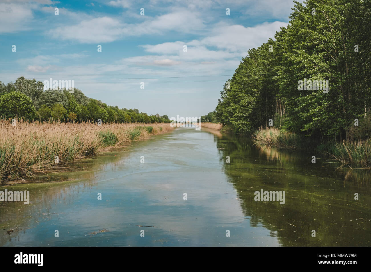Canal de drenaje en Campotto, Argenta, provincia de Ferrara, Emilia Romagna, Italia. Foto de stock
