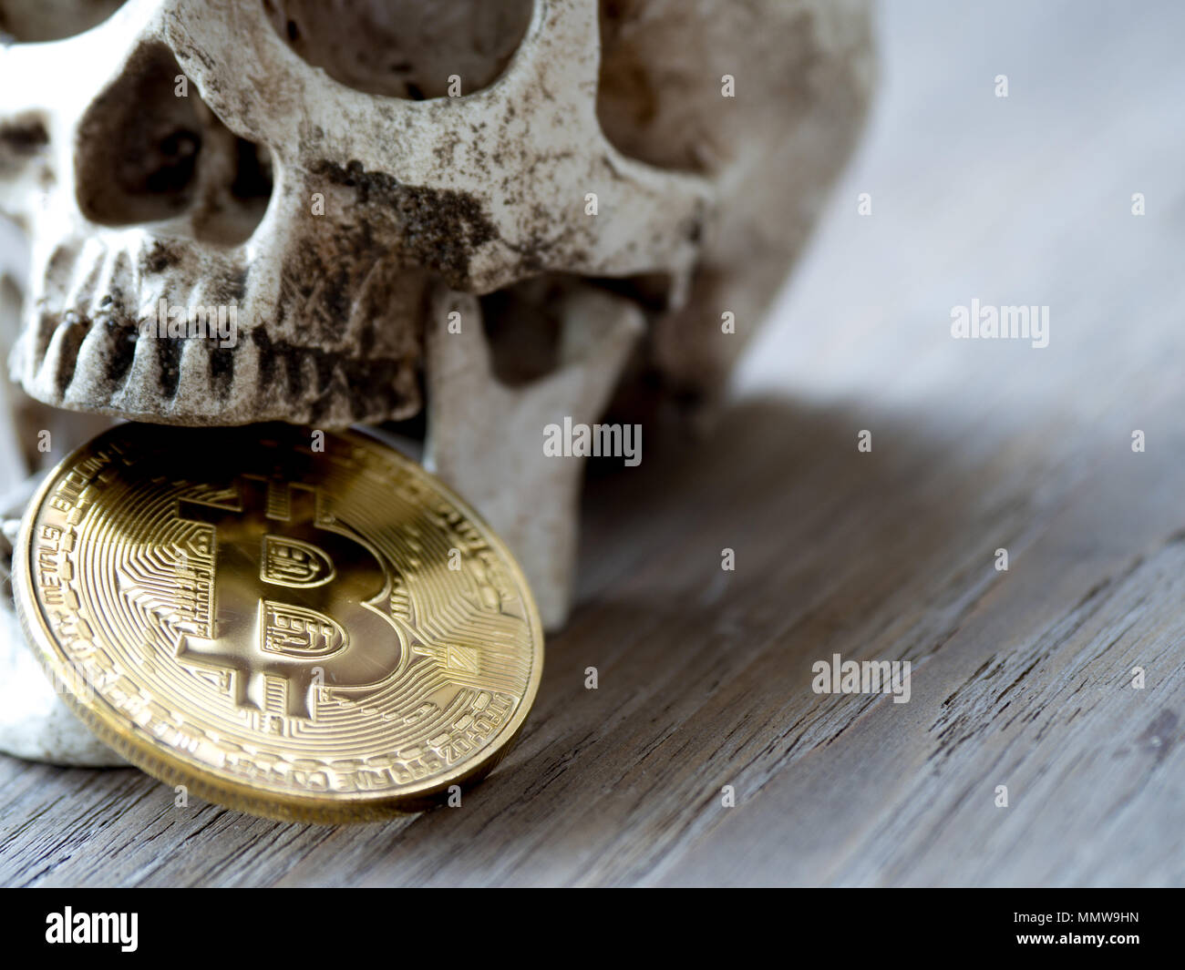 Cerca del cráneo morder bitcoin dorado sobre mesa de madera. El concepto de inversión y de fluctuación y cryptocurrency bitcoin. La sensación de disap Foto de stock