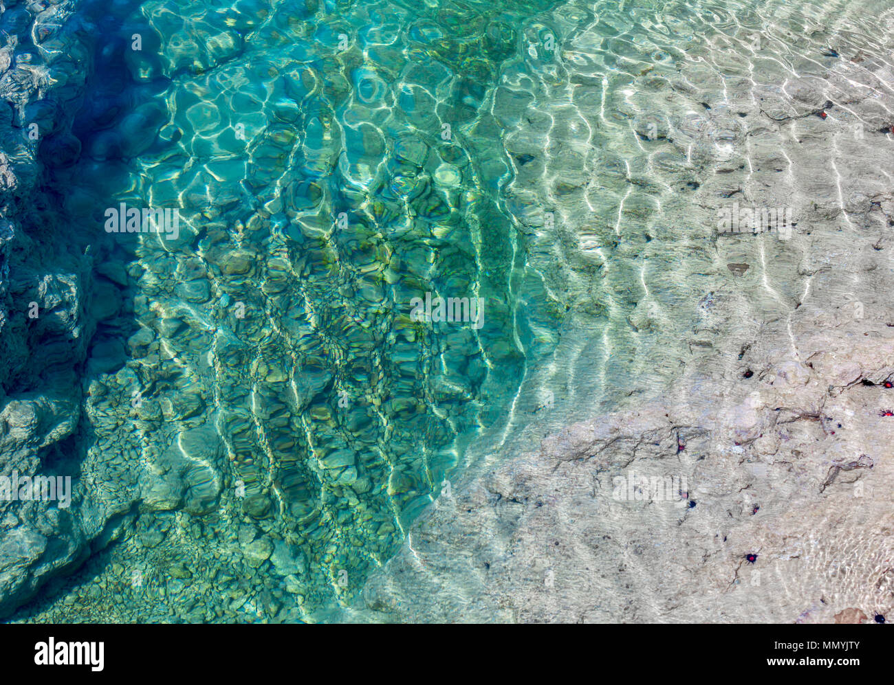 Un detalle de una imagen de St Barts natural piscinas de marea en el Anse toiny área con espinas negras erizos de mar Foto de stock
