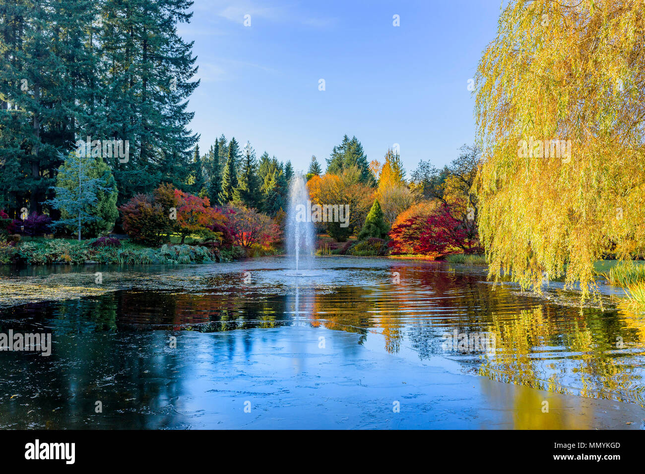Estanque con fuente, Jardín Botánico VanDusen, Vancouver, British Columbia, Canadá. Foto de stock