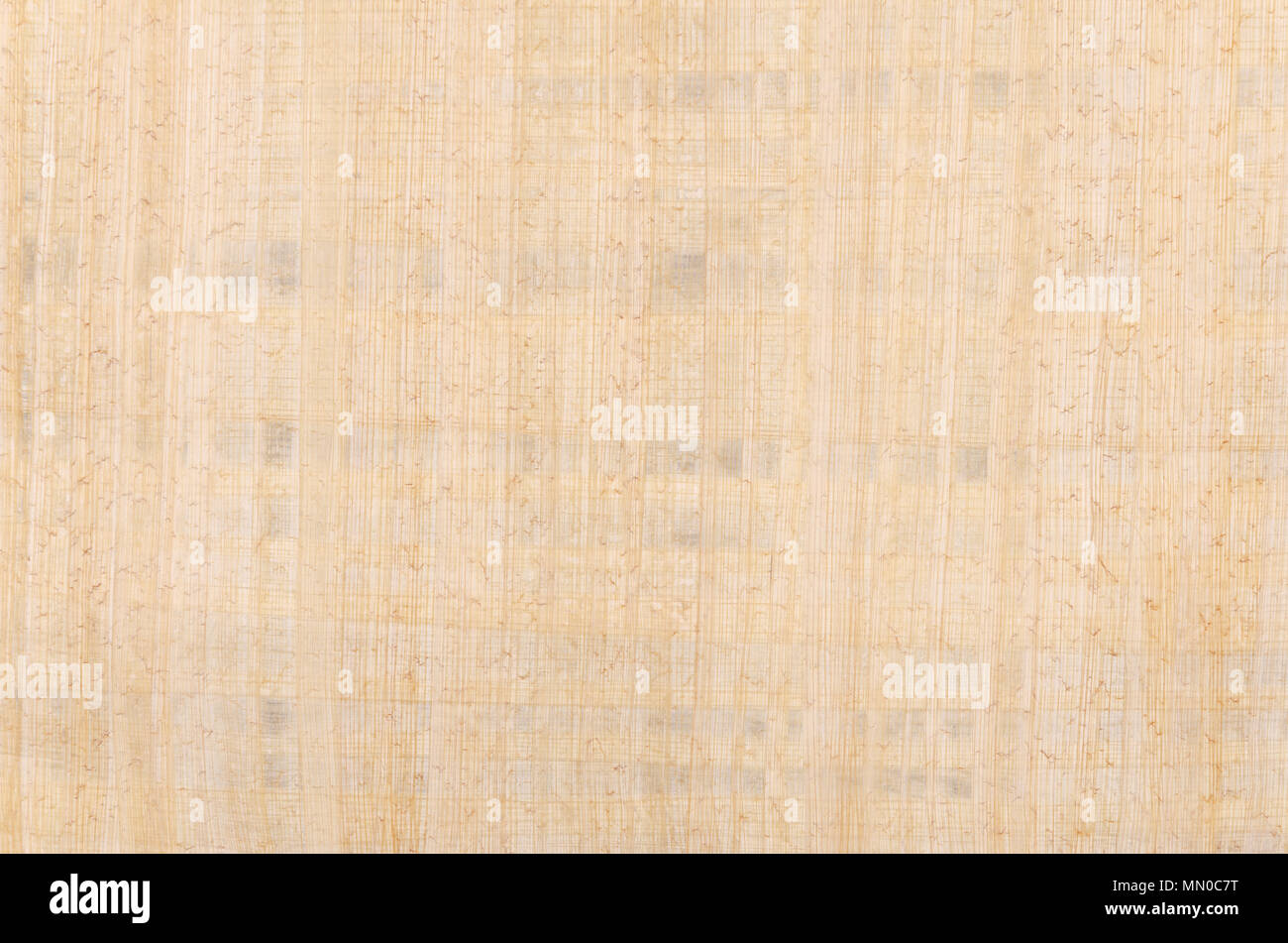 Superficie de papiro. Material similar al papel grueso, utilizado en la antigüedad como una superficie de escritura. La médula de la planta de papiro, Cyperus papiro. Foto de stock
