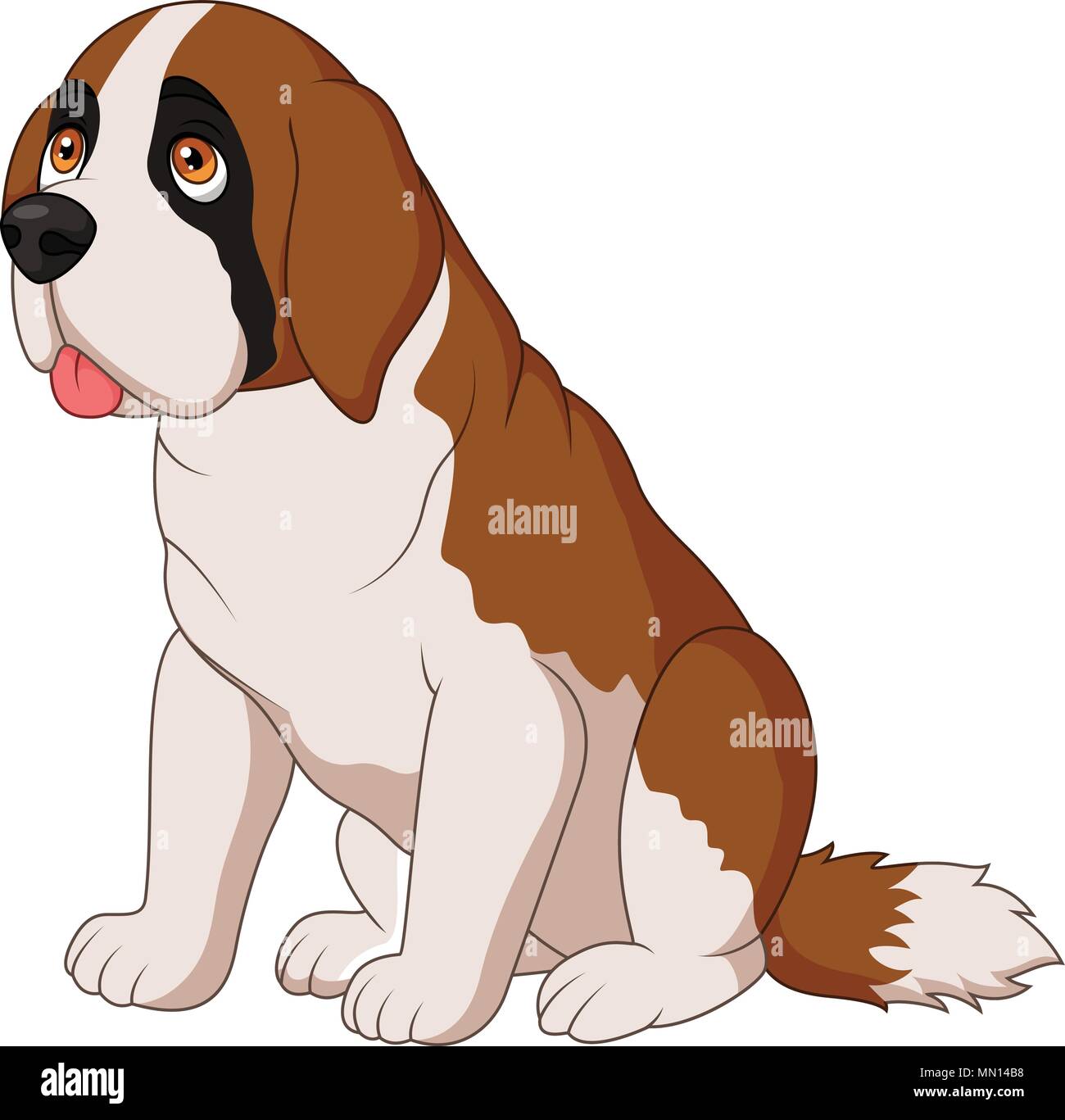 San bernardo raza de perro fotografías e imágenes de alta resolución - Alamy