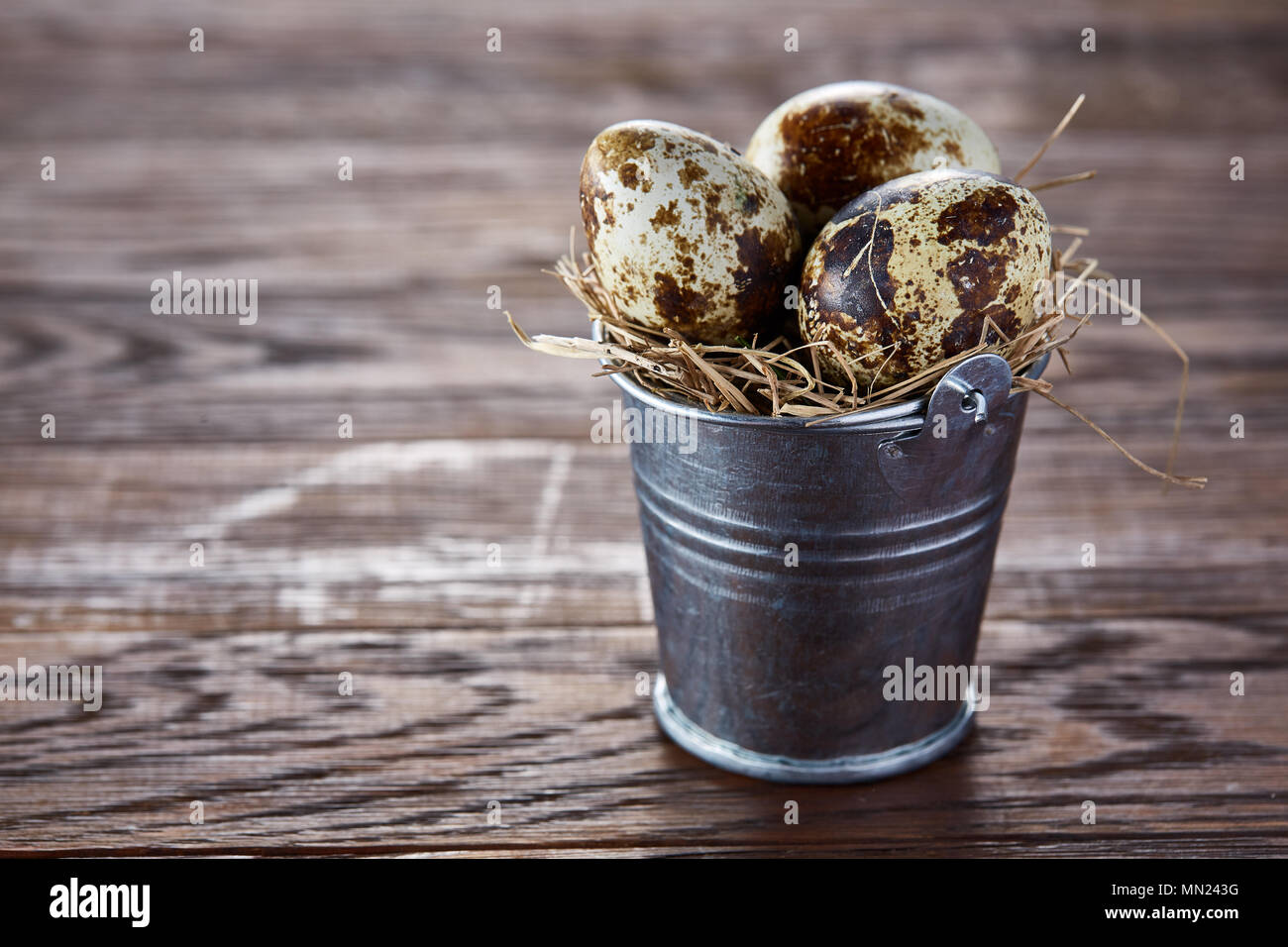 Decorativos de metal pequeño balde lleno con huevos de codorniz frescos  sobre la mesa de madera oscura, close-up, el enfoque selectivo. Decoración  rural. Foto de estudio. Organic com Fotografía de stock -