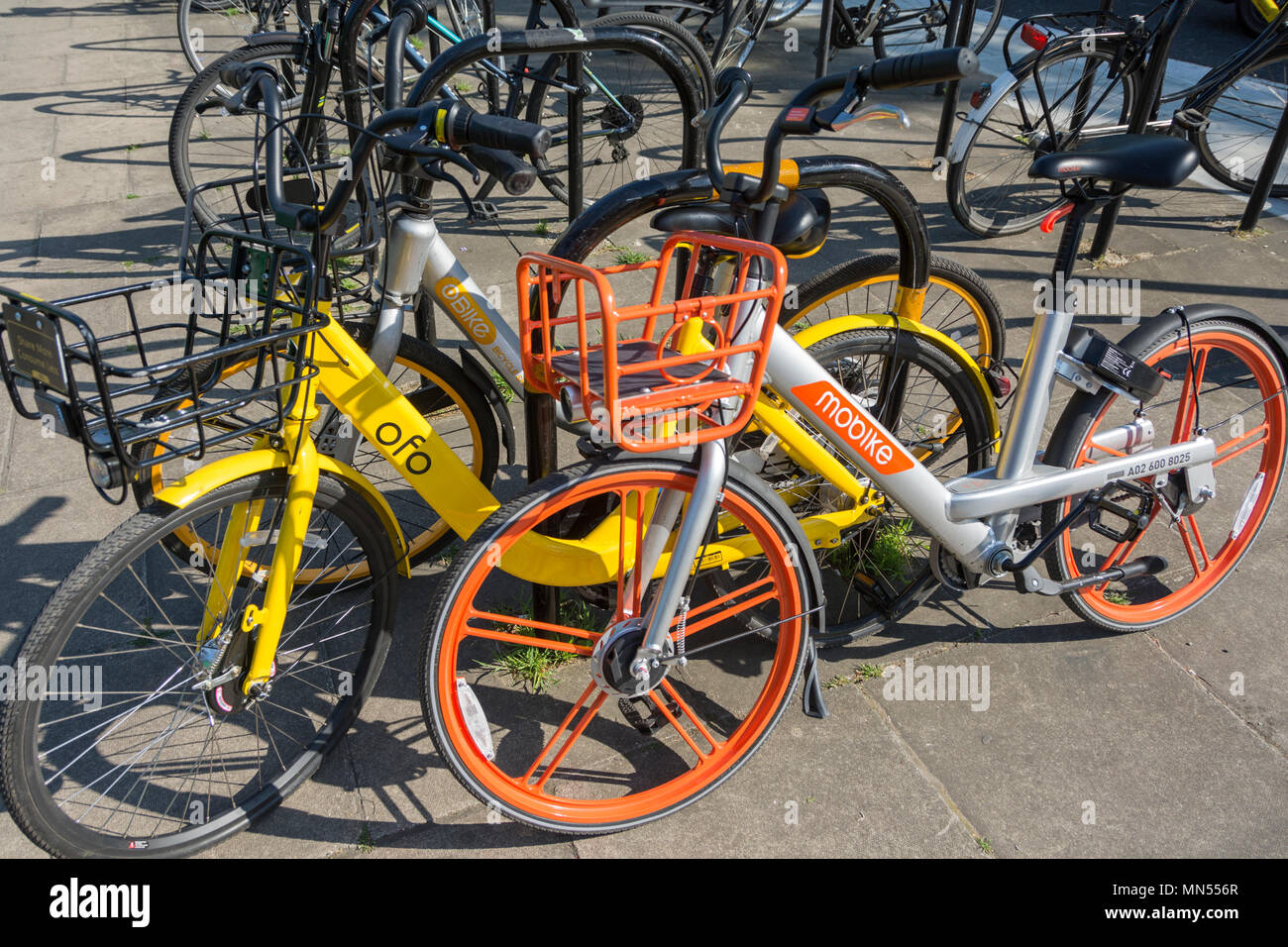 alibaba ofo
