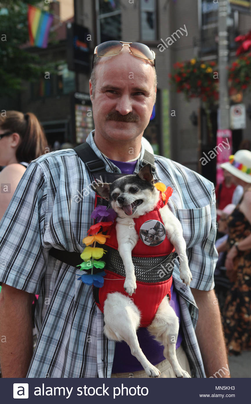 un-hombre-gay-lleva-su-perro-mascota-en-un-dispuesto-durante-fiestas-del-orgullo-gay-en-toronto-mn5kh3.jpg