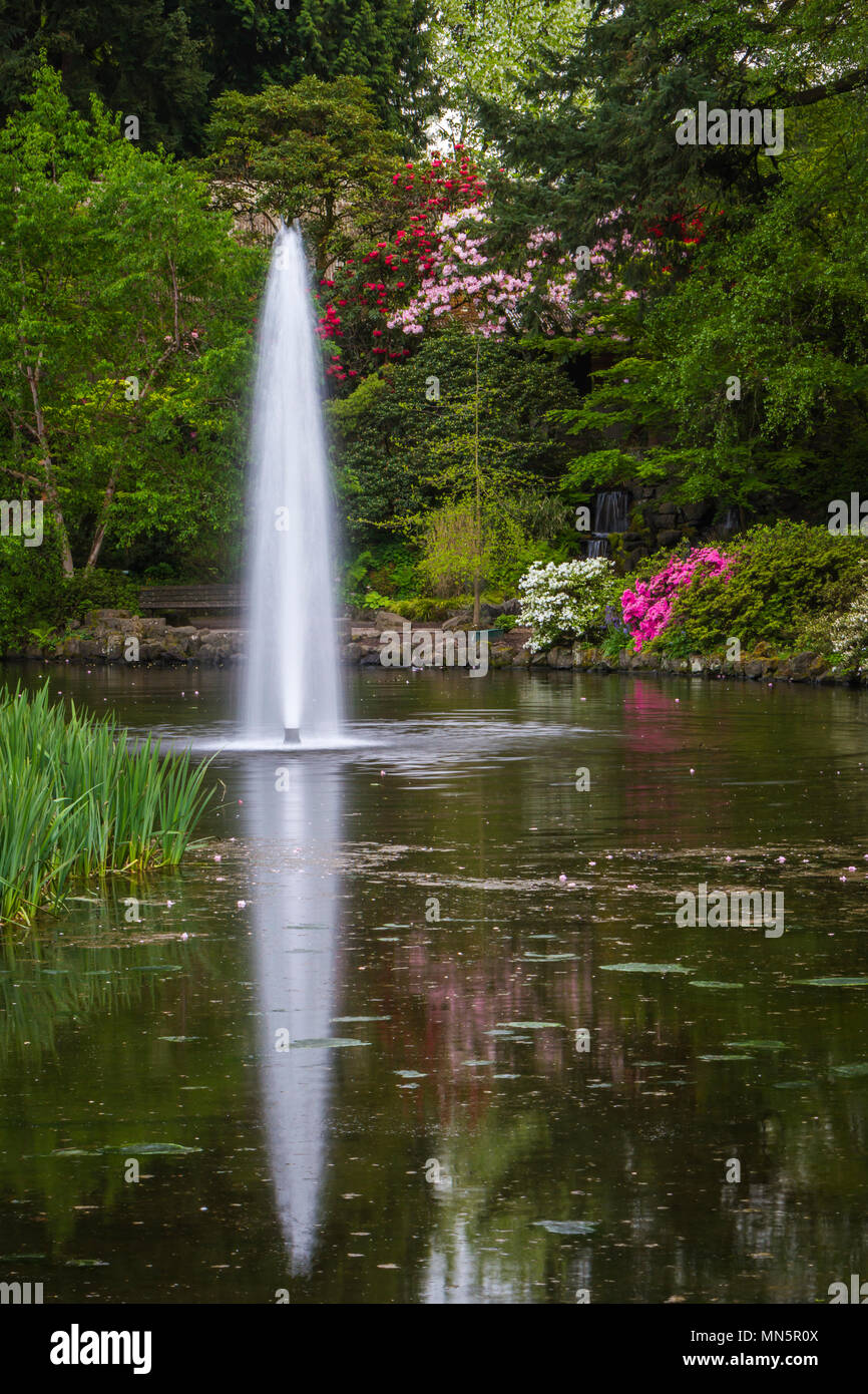 Una fuente de agua decorativa en un estanque en el Crystal Springs  Rhododendron Gardens en Portland, Oregon, USA Fotografía de stock - Alamy