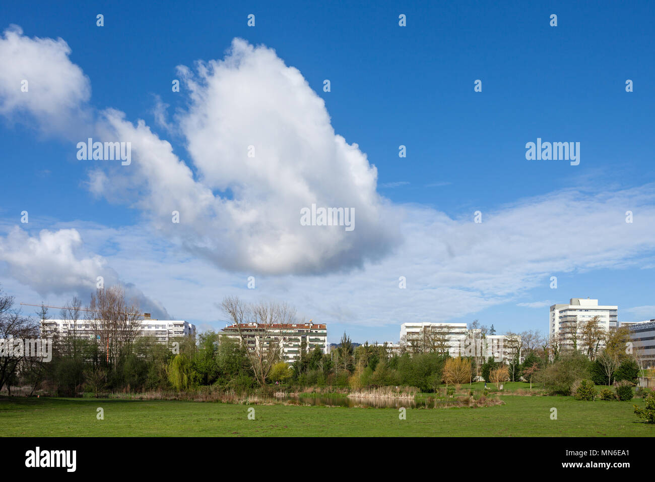Gran césped verde campo vacío, con las vistas de la ciudad en el Parque da Devesa Parque Urbano. Blue Sky, grandes nubes blancas. Vila Nova de Famalicao, Portugal Foto de stock