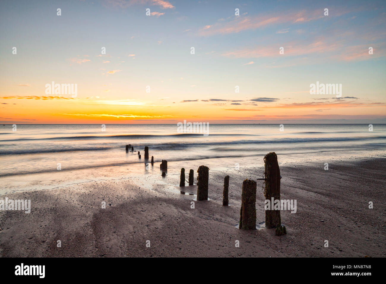 Restos de groynes en la playa de Sandsend, Whitby, Yorkshire del Norte, al amanecer Foto de stock