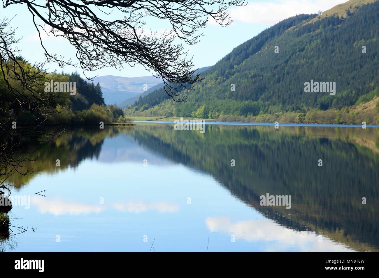 Hermoso Loch Eck, Escocia, Reino Unido en un día claro y soleado mostrando Agua y montañas en una impresionante vista. Una atracción turística popular. Foto de stock