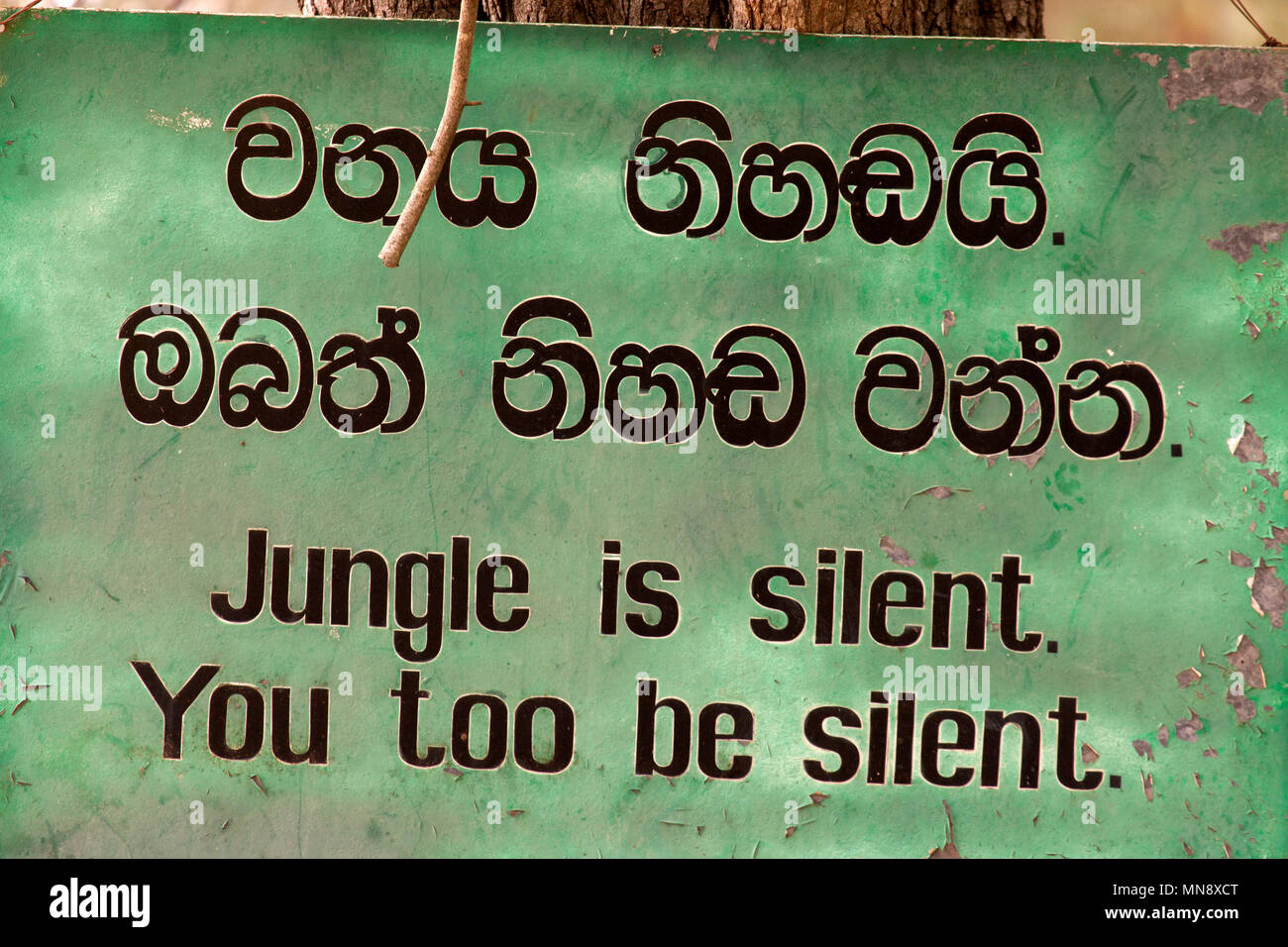 Un letrero en Udwawalawe Transit Inicio de elefantes en el Parque Nacional Uwawalawe en Sri Lanka. Se dice "Selva es silenciosa. Usted demasiado silencioso". Foto de stock