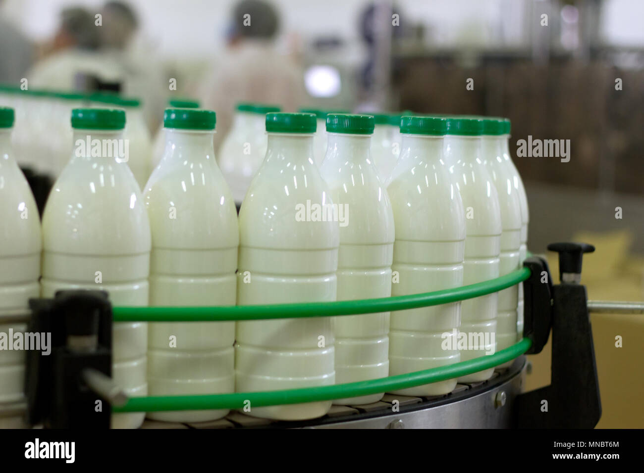 Planta de lácteos. Transportador con botellas de leche. Foto de stock