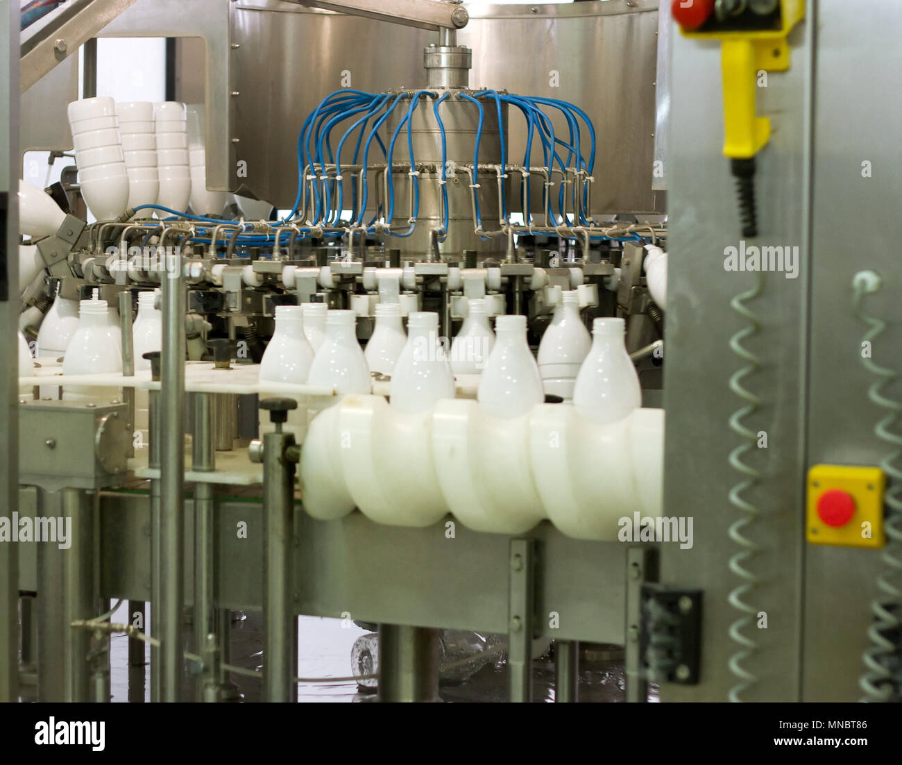 Planta de lácteos. Transportador con botellas de leche. Foto de stock