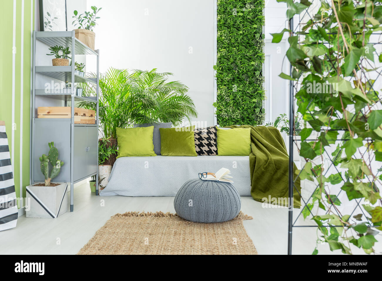 Botanical salón con sofá gris, verde almohadas y estantería Foto de stock