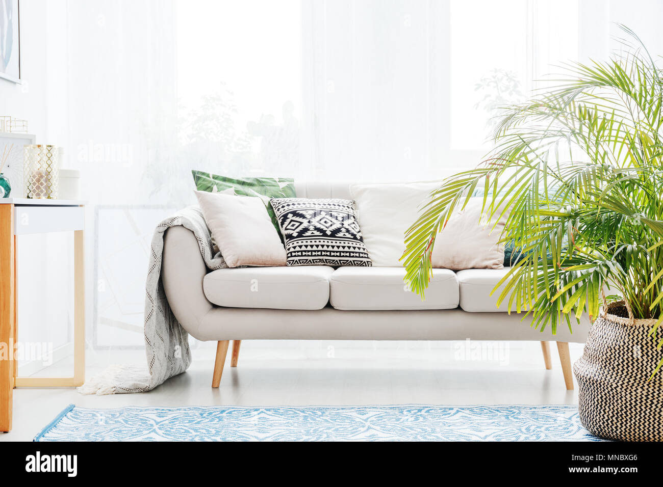 Planta junto al sofá color beige con cojines brillantes en salón con  alfombra azul Fotografía de stock - Alamy