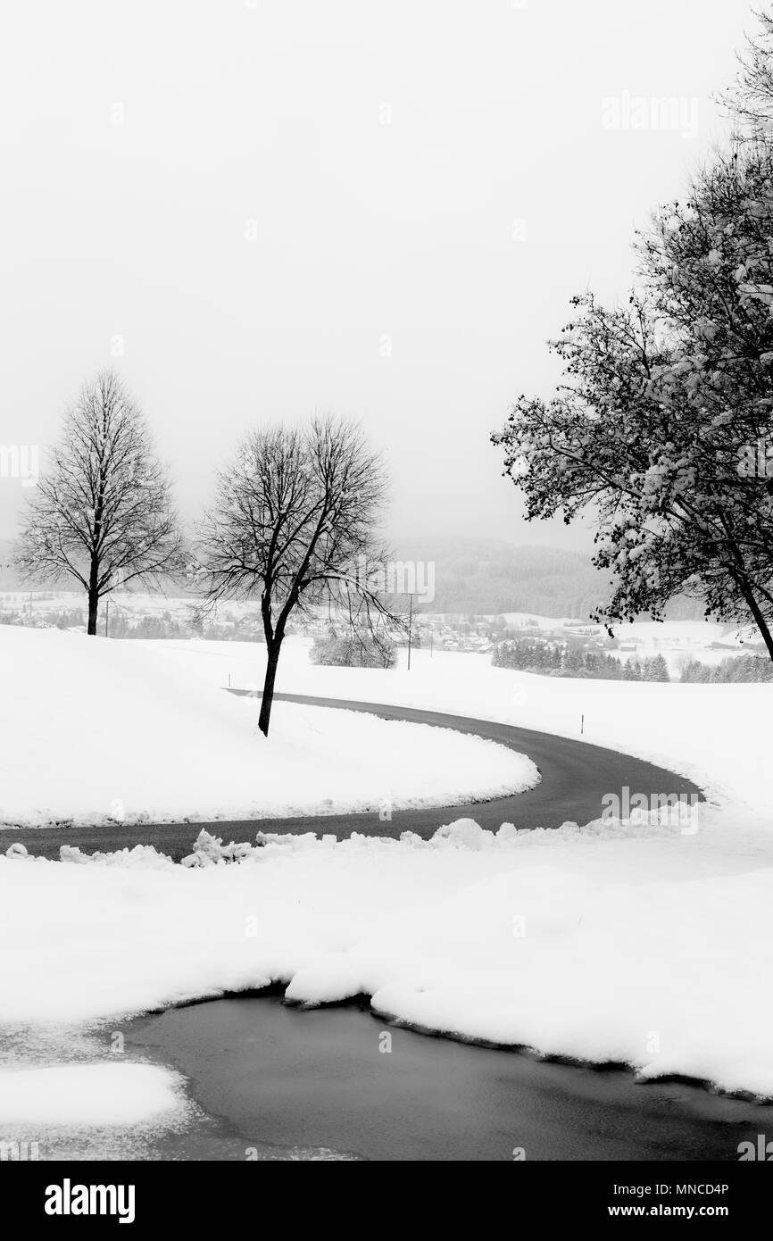 Un serpenteante camino en medio de la nieve, con árboles en la parte lateral Foto de stock