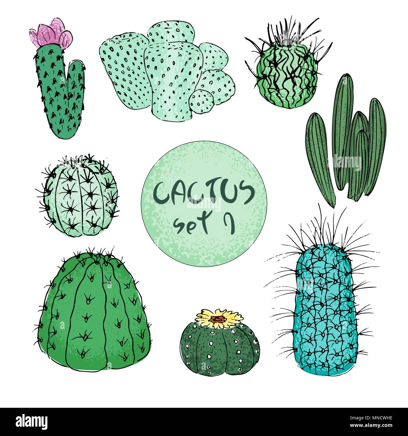 Conjunto de cactus de colores, dibujados a mano ilustración vectorial. Contorno de boceto. Colección de suculentas. Ilustración del Vector