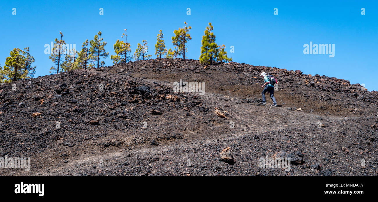 Walker subiendo el empinado camino hasta el borde del cráter del volcán de Samara, en las laderas del Teide en Tenerife en las Islas Canarias Foto de stock