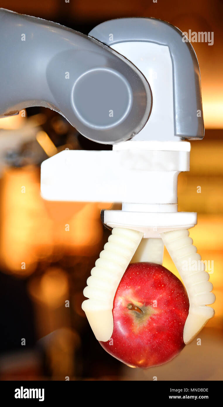 Brazo mecánico que sostiene una manzana para ponerlo en la máquina y  preparar el jugo Fotografía de stock - Alamy