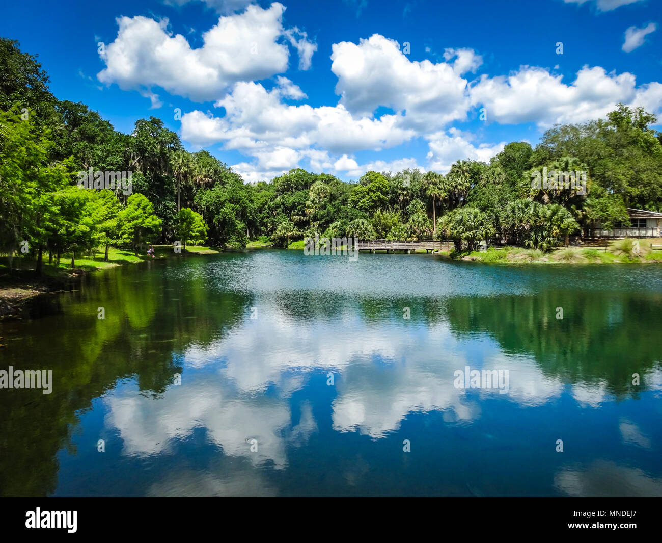 Debary Florida Fotos e Imágenes de stock Alamy
