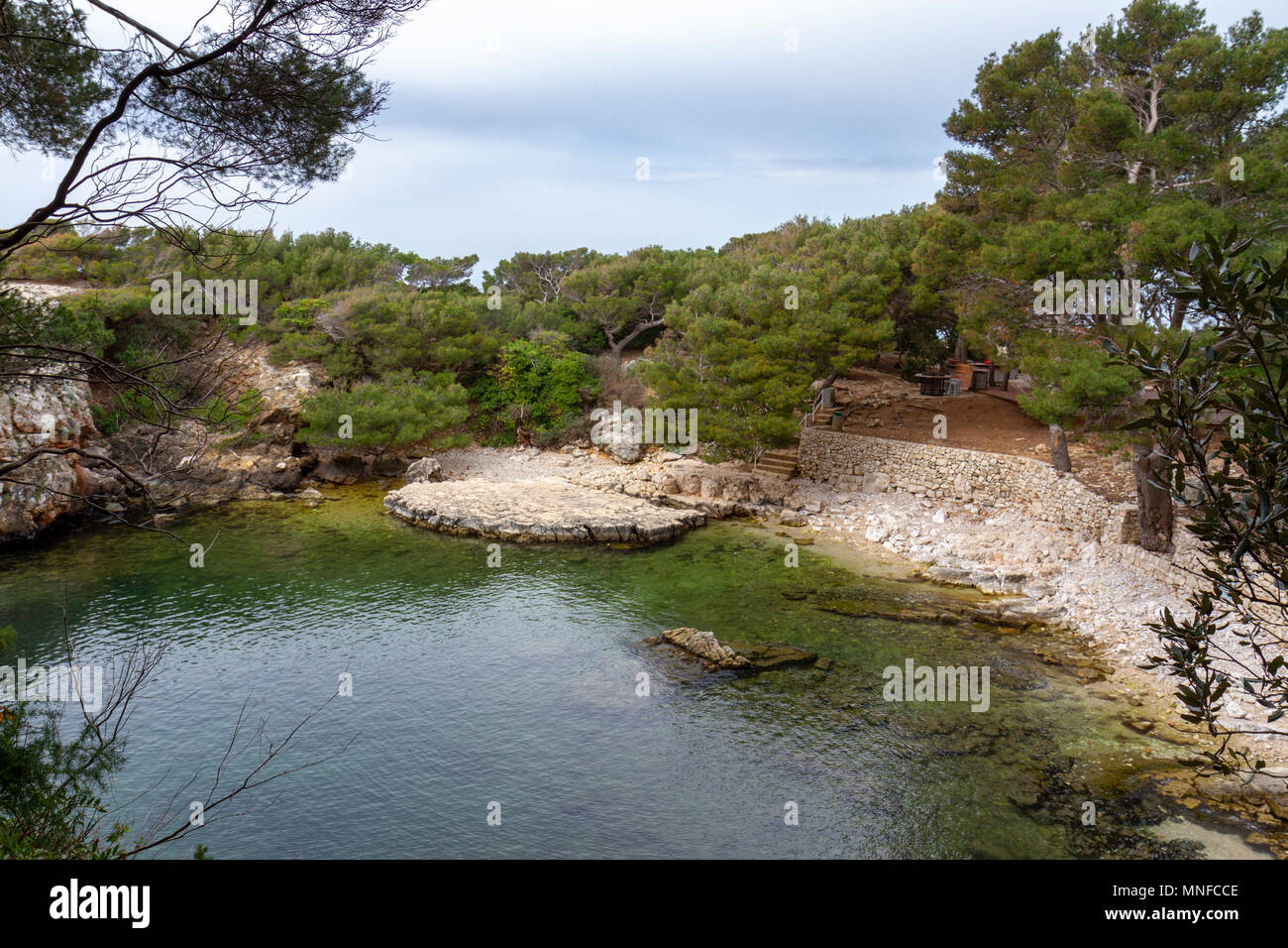 El Mar Muerto en la piscina de Lokrum Island, en el Mar Adriático, frente a Dubrovnik, Croacia. Foto de stock