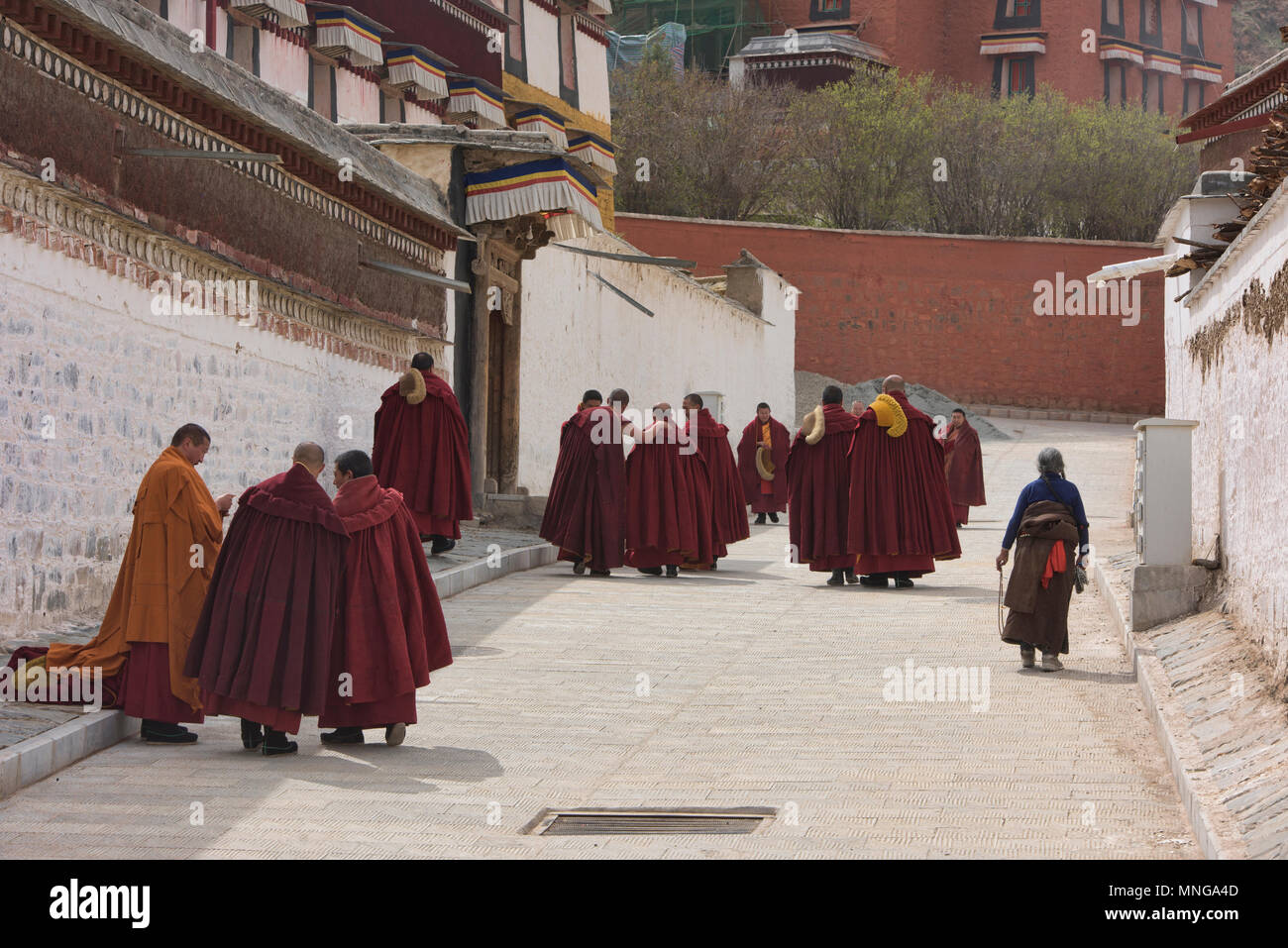 Los monjes Gelukpa, monasterio de Labrang, Xiahe, Gansu, China Foto de stock