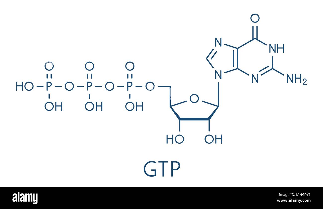 La guanosina trifosfato (GTP) molécula de ARN de bloque de creación.  También se utiliza como molécula de transporte de energía y en la  transducción de la señal. Fórmula esquelética Imagen Vector de