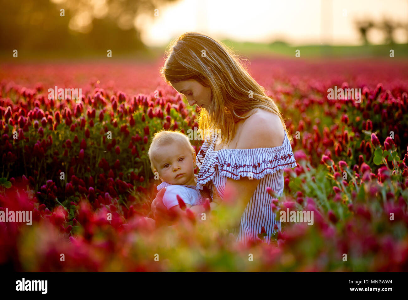 Hermosa joven madre, amamantando a su hijo Baby Boy en el precioso campo de  trébol carmesí en Sunset, primavera Fotografía de stock - Alamy