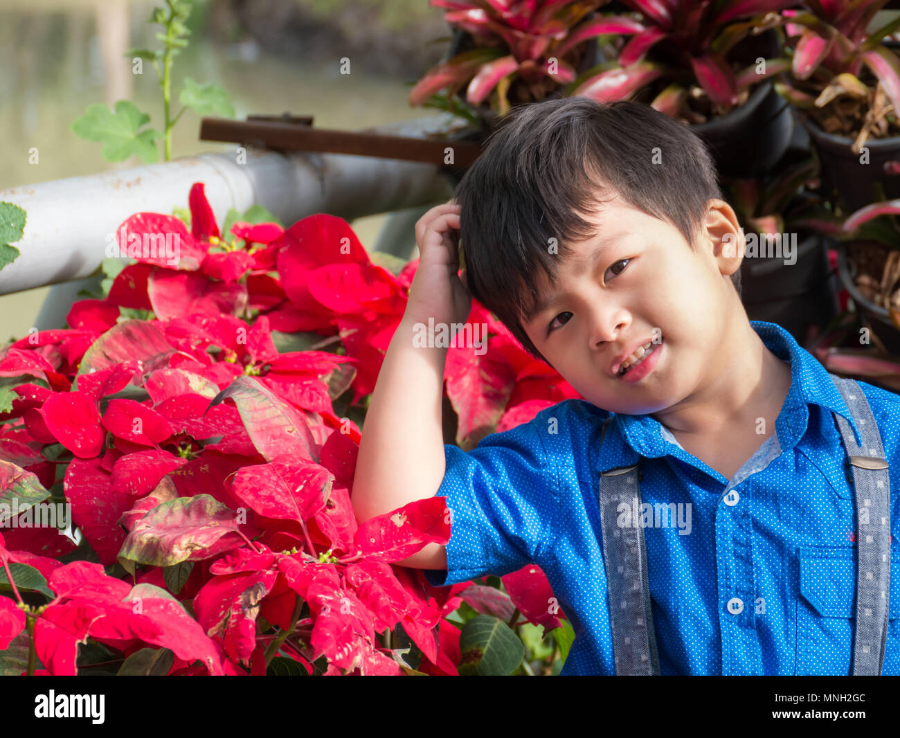Lindo retrato de un niño está parado al lado de un hojas rojas. Foto de stock
