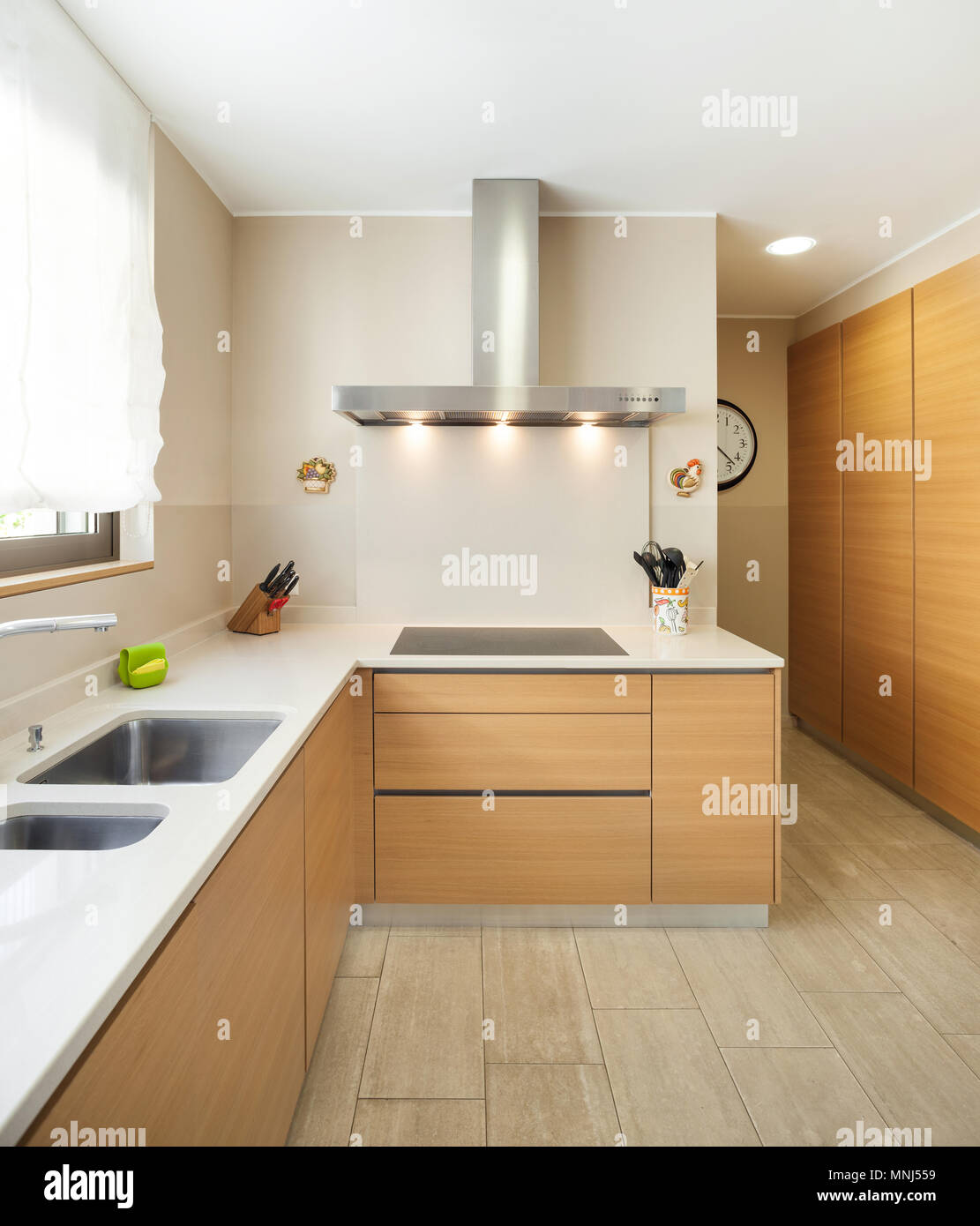 Interior de un moderno apartamento amueblado, amplia cocina doméstica Foto de stock