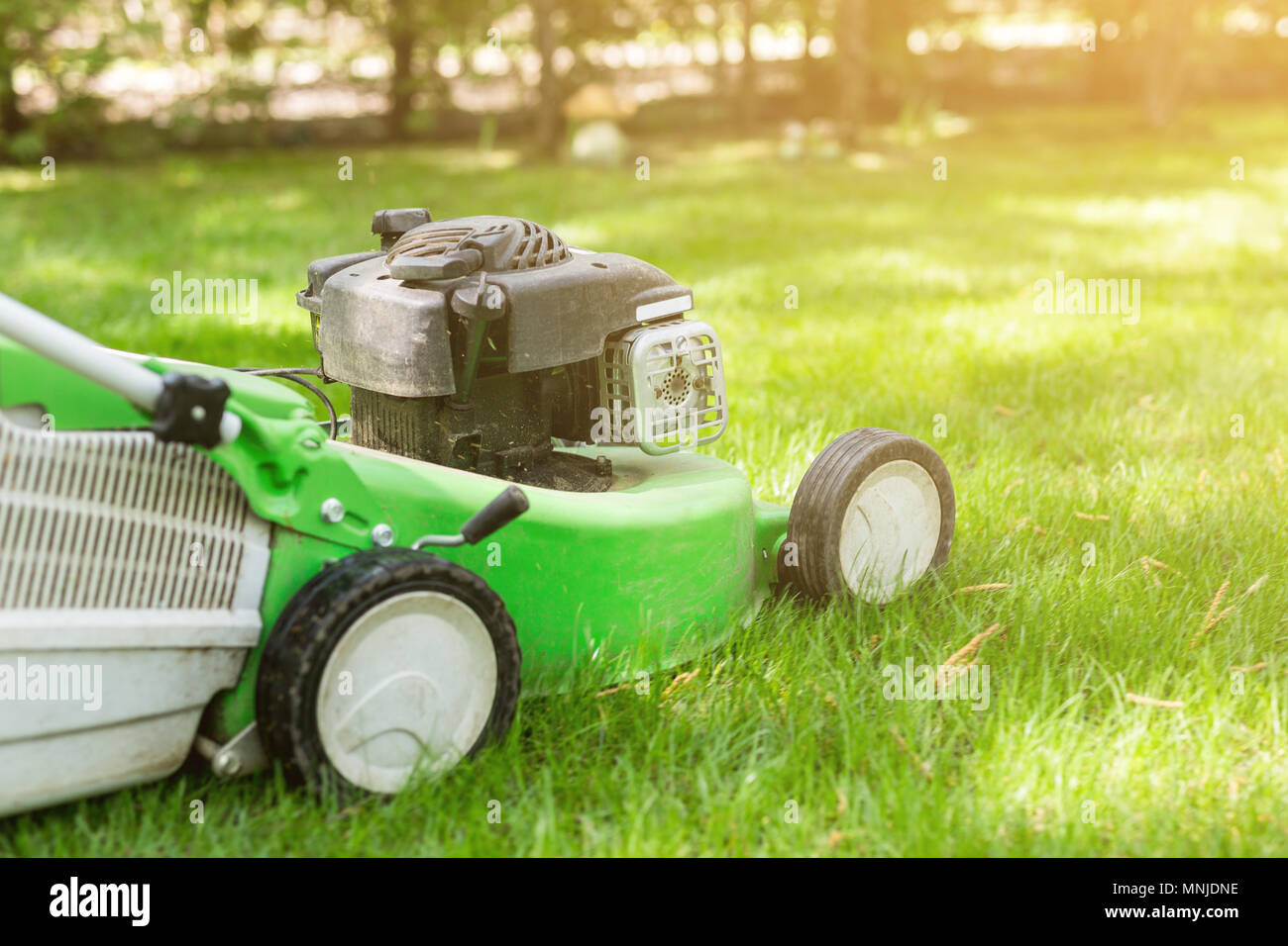 Segadora de césped verde de césped fresco en el patio. Herramientas para  cortar el césped. Concepto de servicio y equipo de jardinería Fotografía de  stock - Alamy