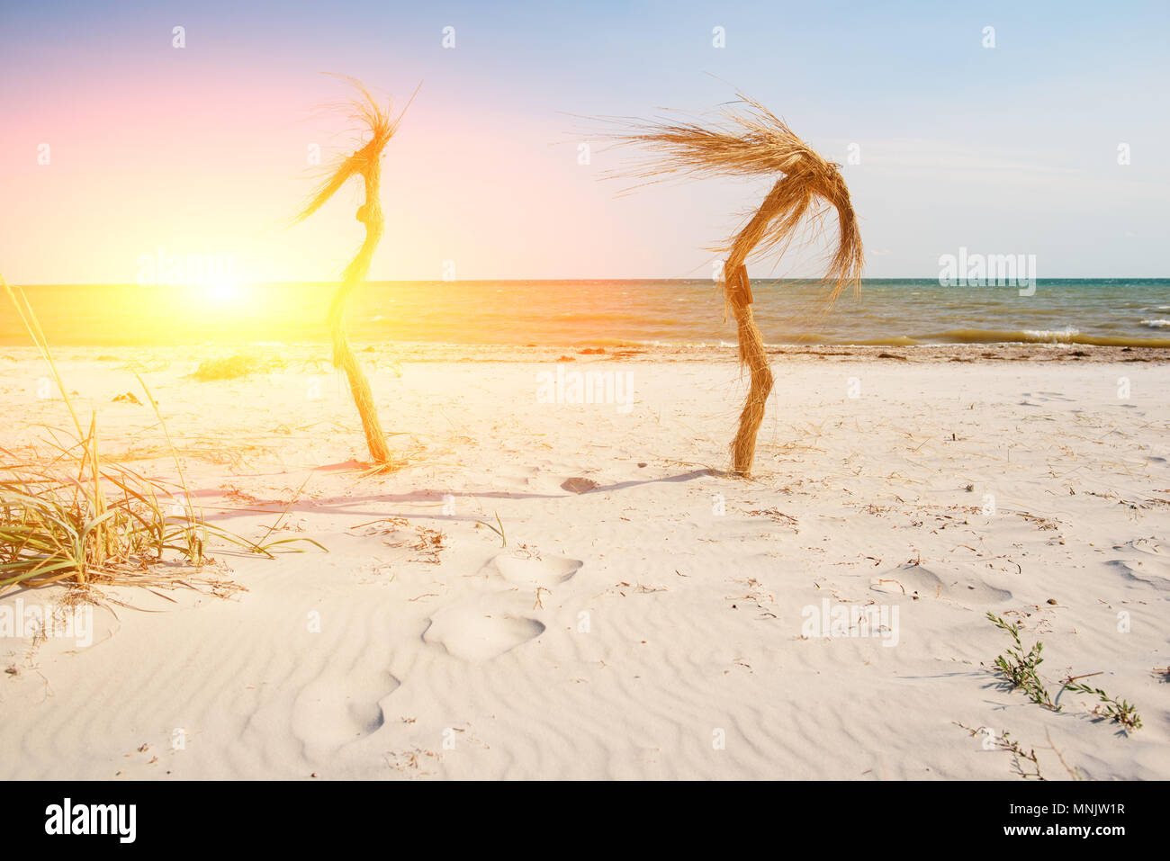 Dos palmeras tropical en la playa. Foto de stock