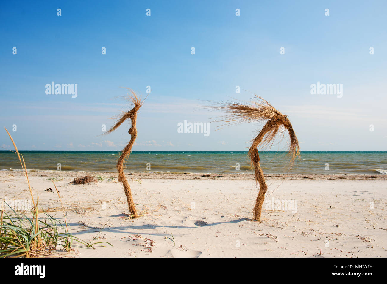 Dos palmeras tropical en la playa. Foto de stock