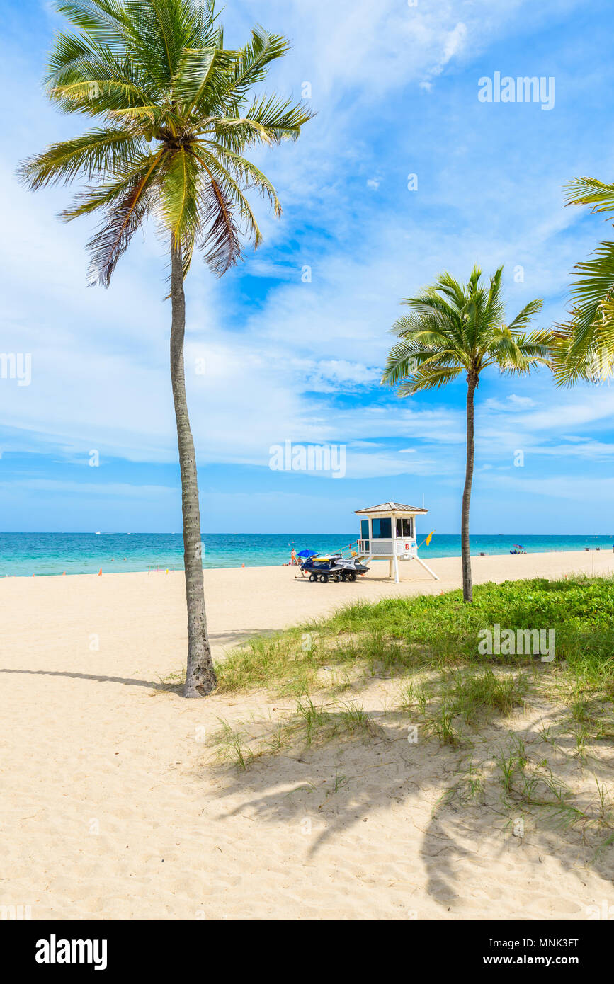 Paradise Beach en Fort Lauderdale en Florida en un hermoso día de Sumer. Playa tropical con palmeras en Playa Blanca. Ee.Uu.. Foto de stock