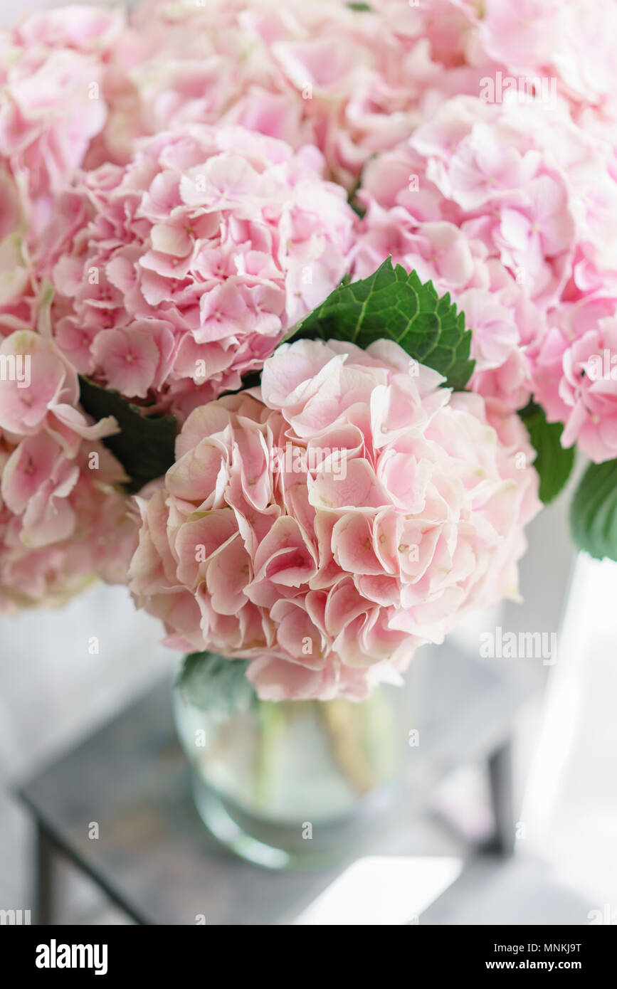 Hydrangea hermosas flores en un jarrón sobre una tabla . Ramo de flores de  color rosa claro. La decoración del hogar. Papel tapiz y el fondo. Foto  vertical Fotografía de stock - Alamy