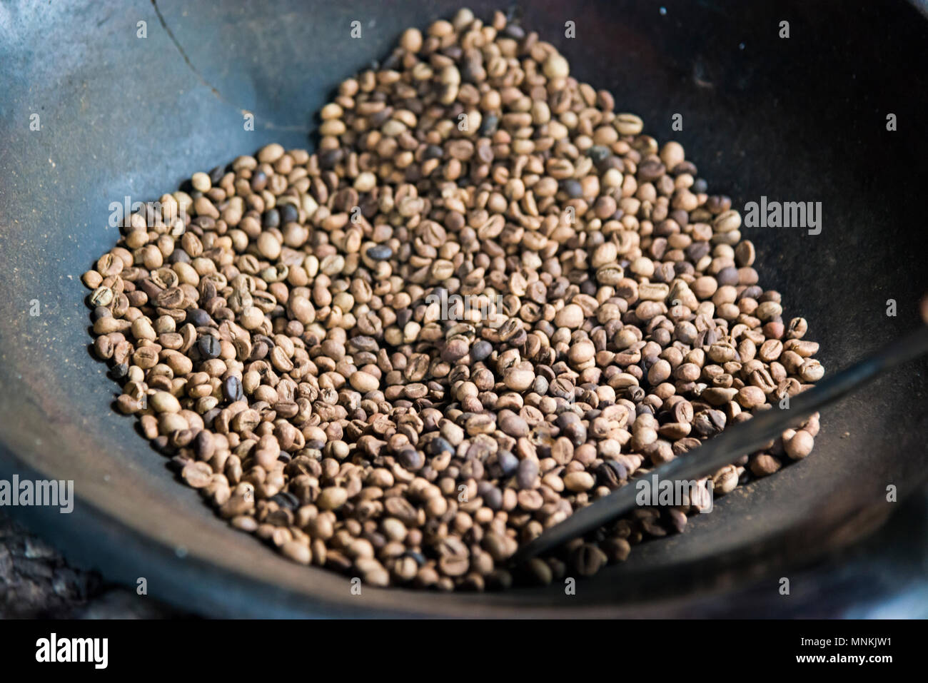 Granos de café recién tostados 100 granos de café arábica caer en un