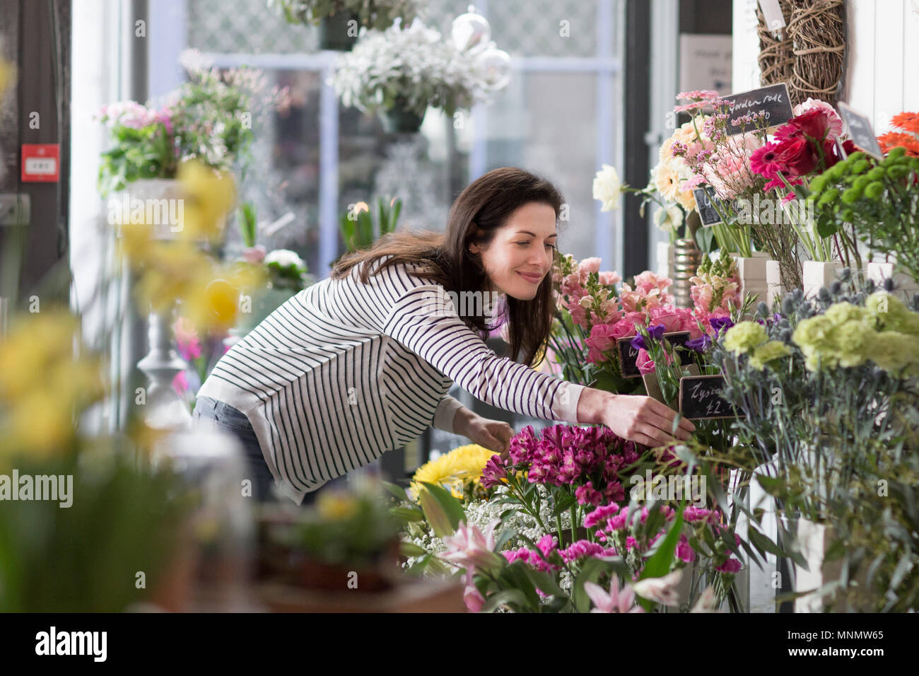 Hembra adulta elegir flores en una floristería Foto de stock