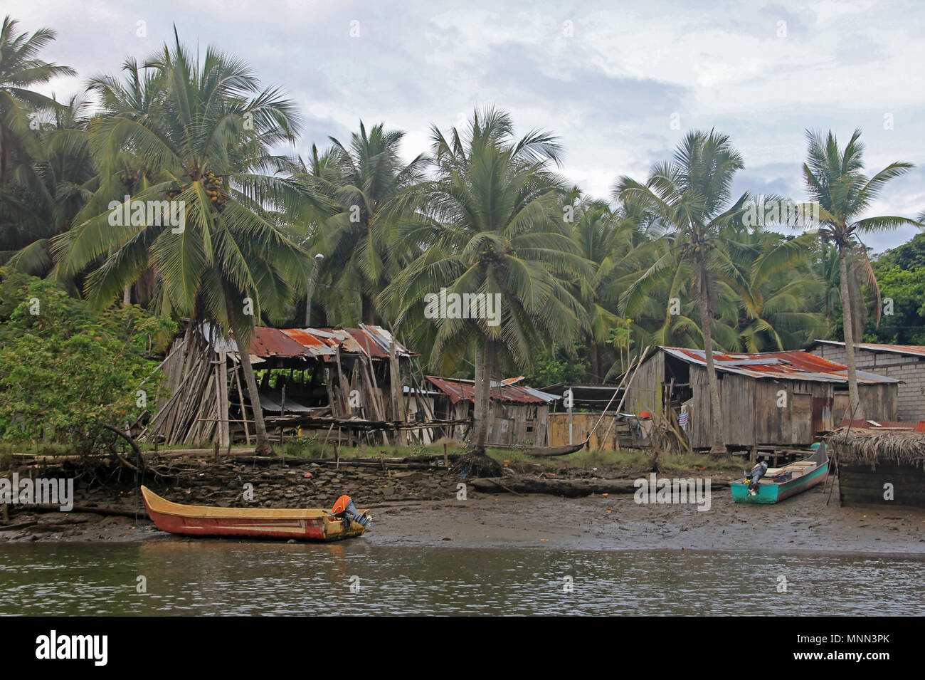 Los barcos de pesca tradicionales y casas, río Cayapas, provincia de