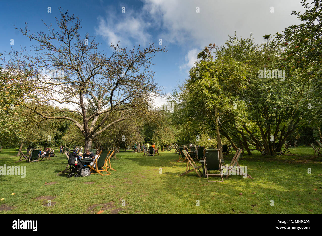 The orchard tea garden cambridge fotografías e imágenes de alta