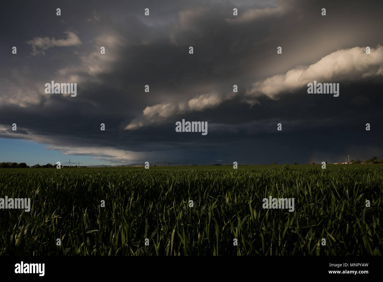 Las nubes frías, justo en las afueras de Boise Foto de stock