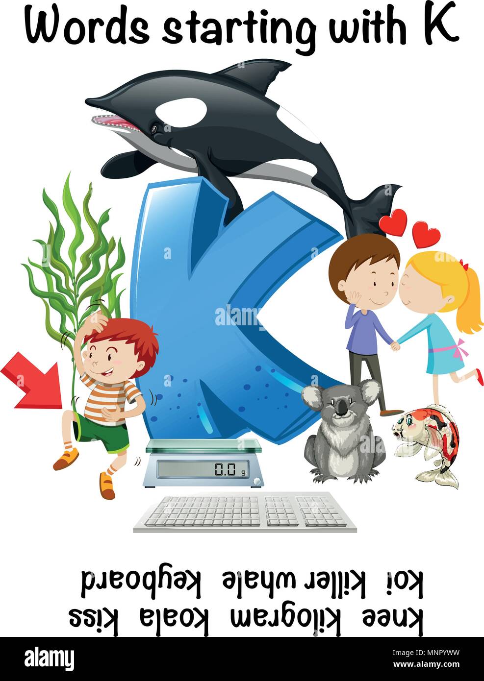 Letra K Con Palabras En Ingles Illustartion Imagen Vector De Stock Alamy