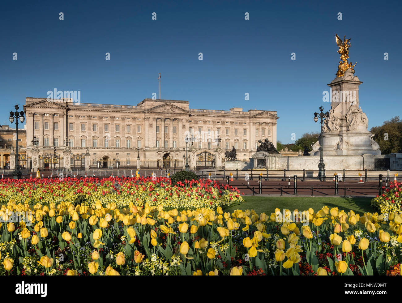El Palacio de Buckingham y el Victoria Memorial en primavera, Londres, Inglaterra, Reino Unido. Foto de stock