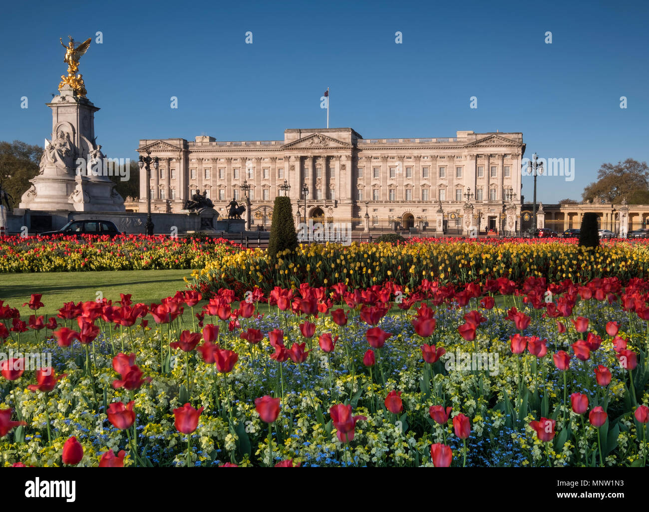 El Palacio de Buckingham y el Victoria Memorial en primavera, Londres, Inglaterra, Reino Unido. Foto de stock