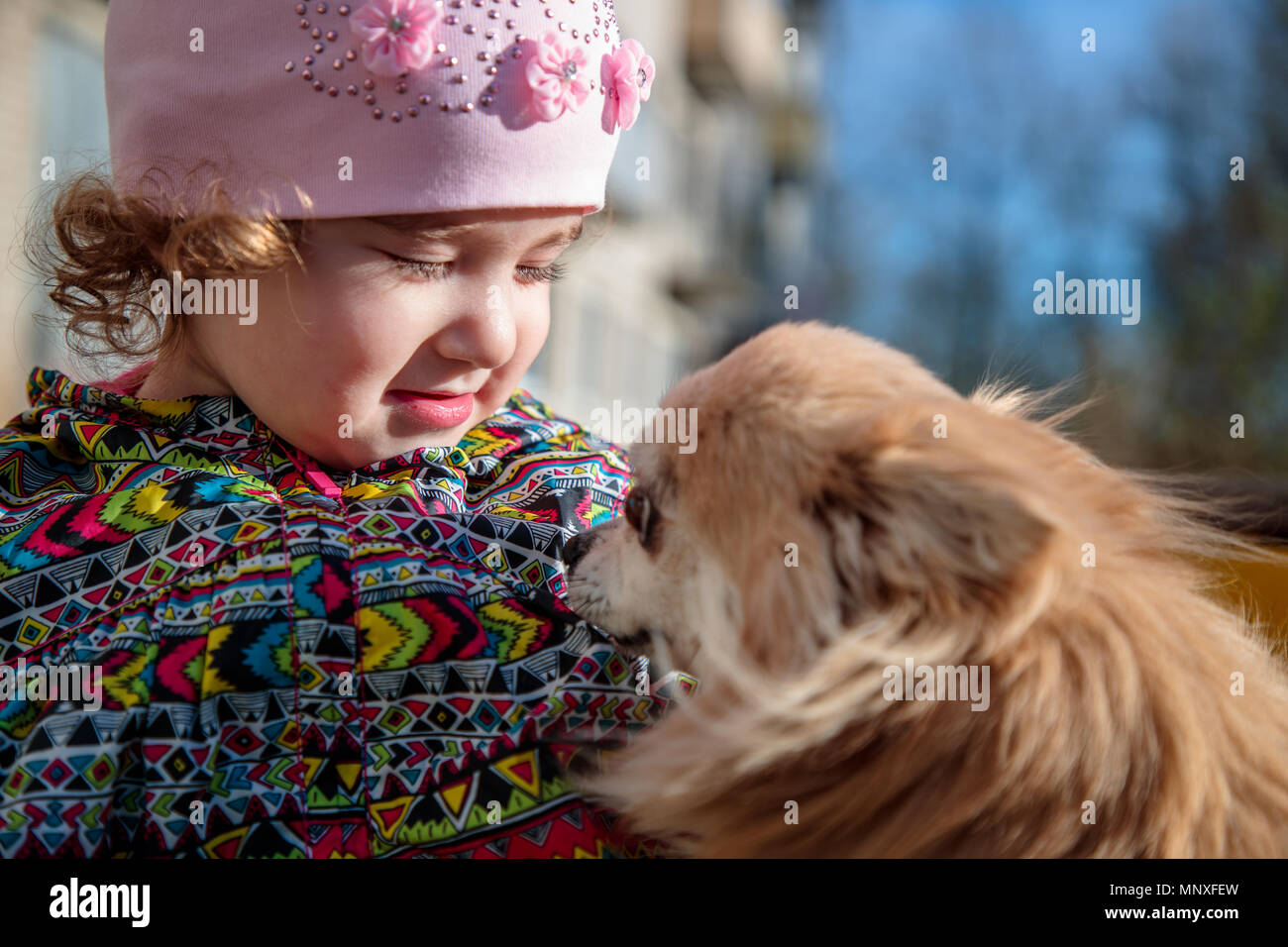 Pequeña y dulce chica con un perro mullidas Foto de stock