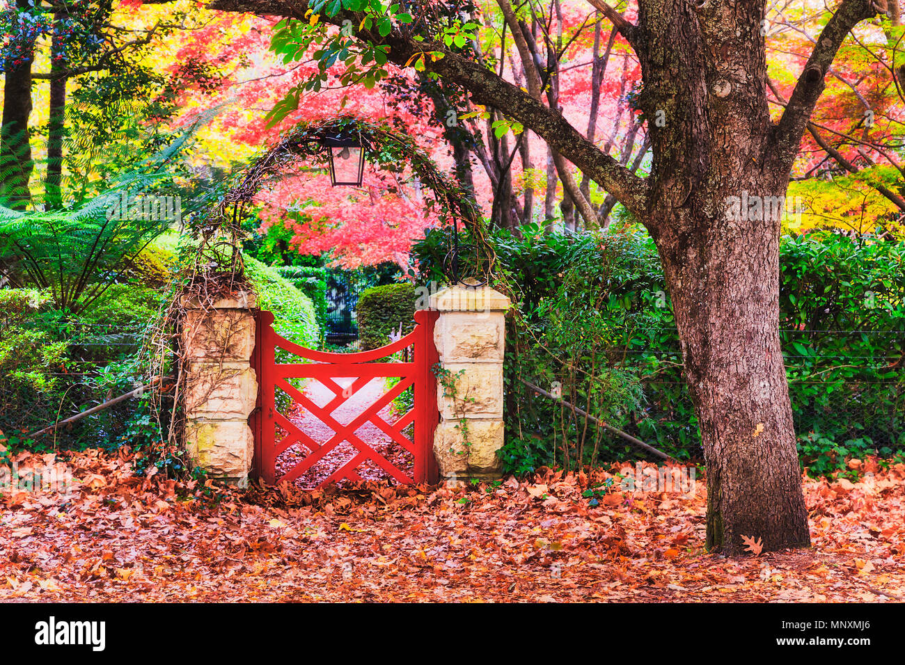 Bienvenido a acogedor colorido jardín formal en alta temporada de otoño en el Monte Wilson de Blue Mountains. Foto de stock