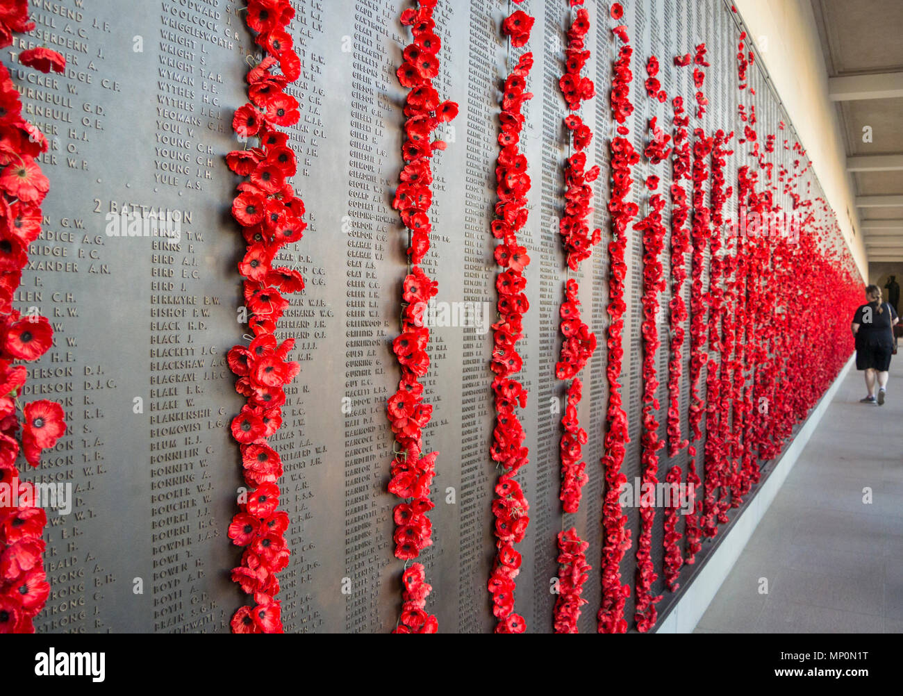 Amapolas rojas dejados por los visitantes de la Australian War Memorial muro del recuerdo Foto de stock
