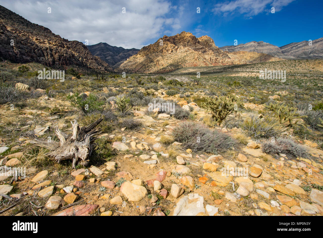 Montañas a lo largo de Area de Conservación Nacional de Red Rock Canyon al oeste de Las Vegas, Nevada. Foto de stock