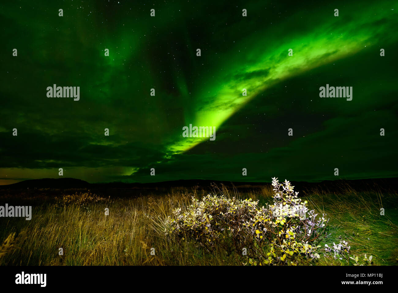 Increíble "Luces del Norte" sobre el cielo de Islandia. Las brillantes luces de baile de la Aurora Boreal. Luz verde en el hermoso paisaje nocturno. Foto de stock